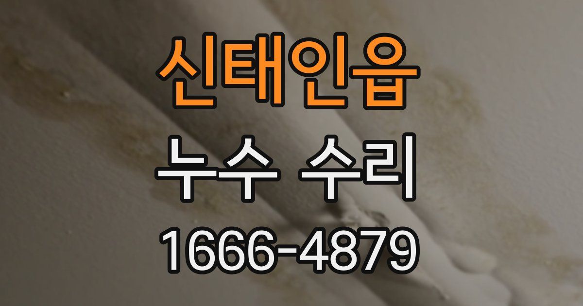 신태인읍 누수 수리
