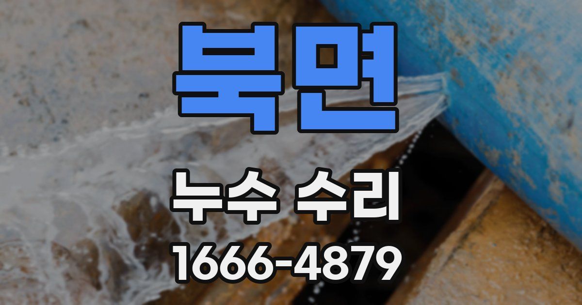 북면 누수 수리