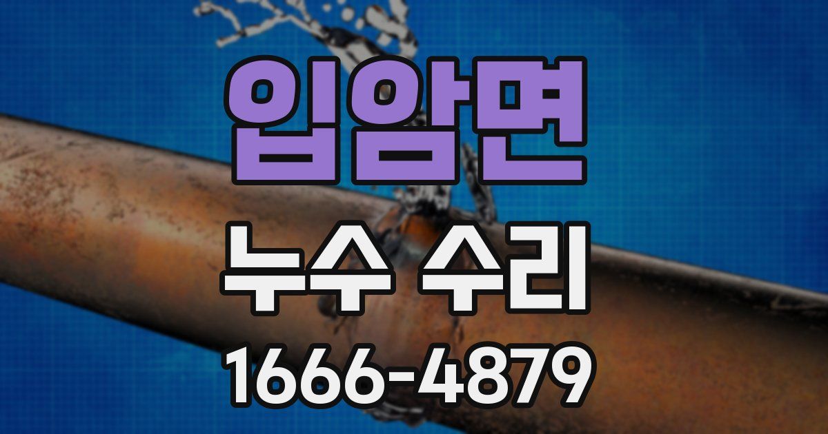 입암면 누수 수리
