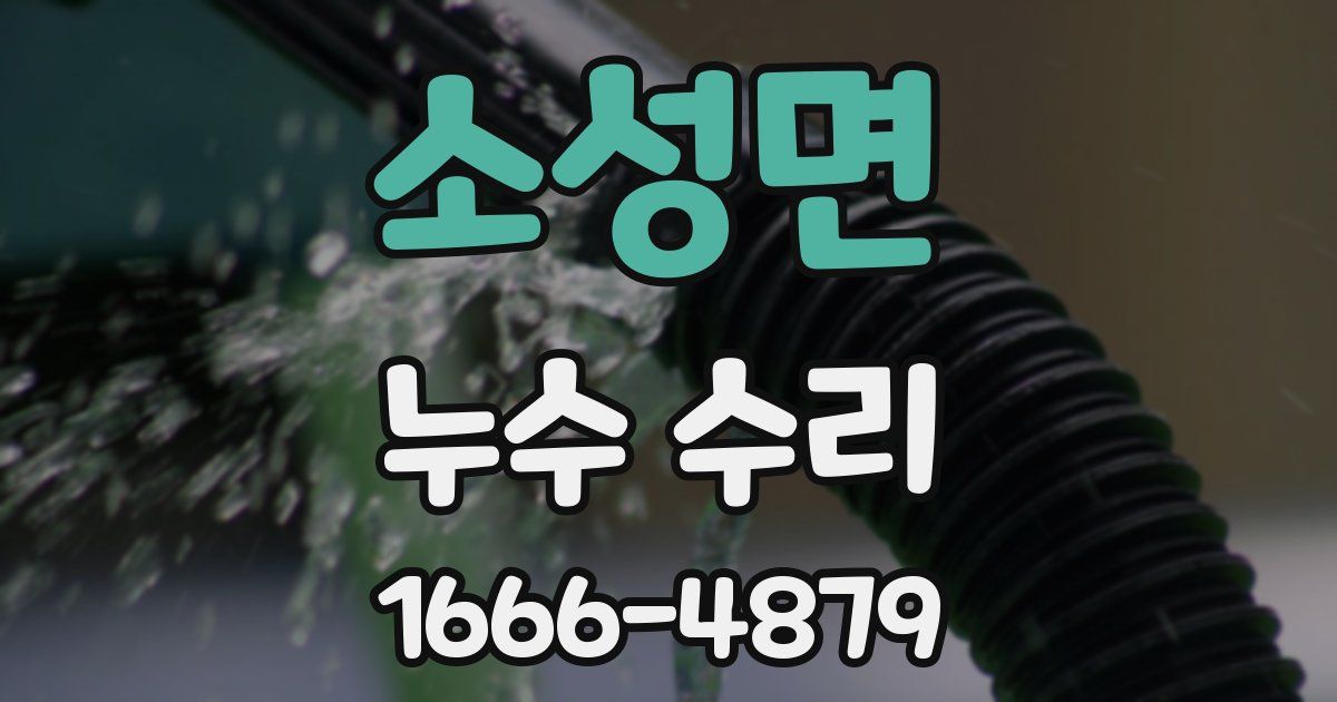 소성면 누수 수리