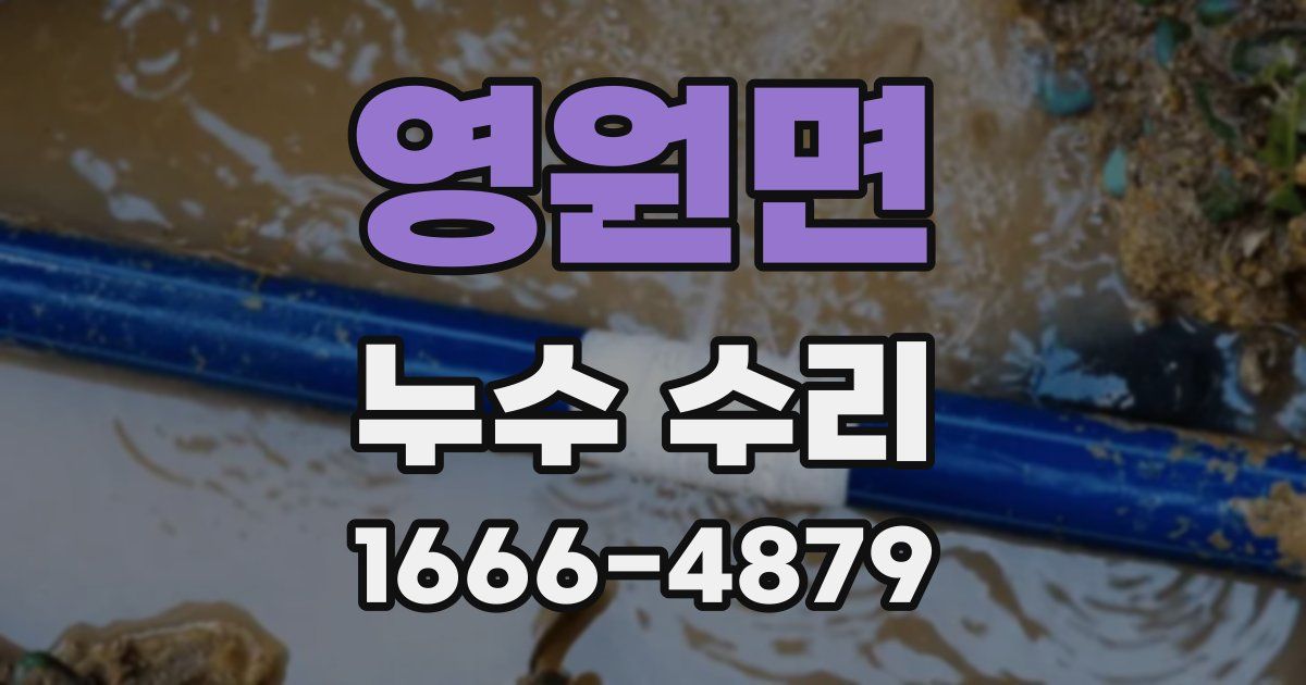 영원면 누수 수리