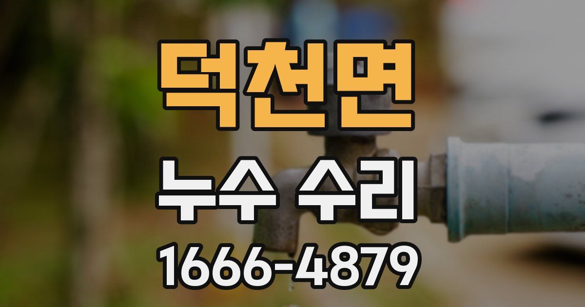 덕천면 누수 수리