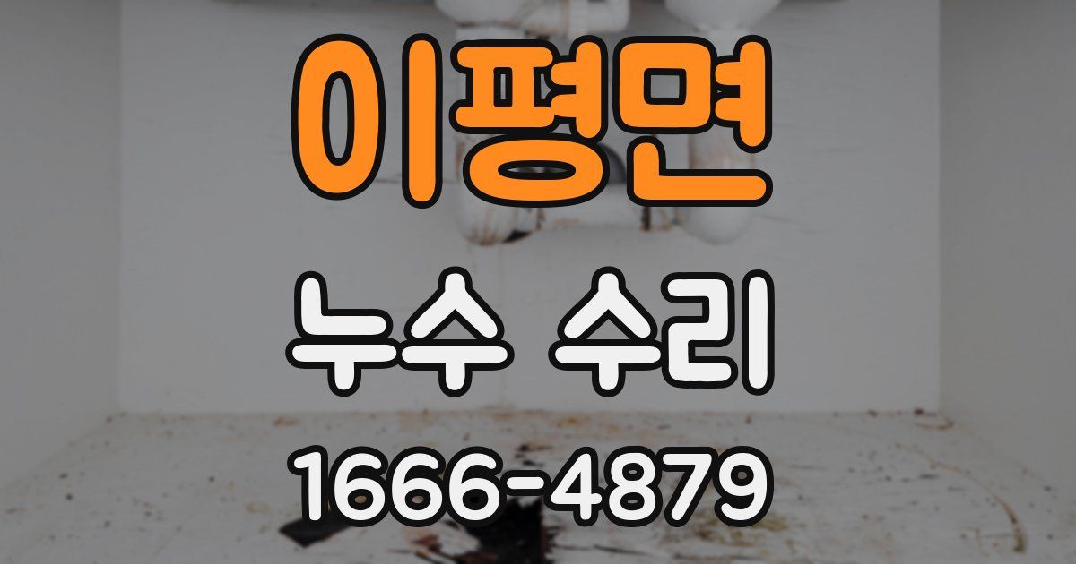 이평면 누수 수리