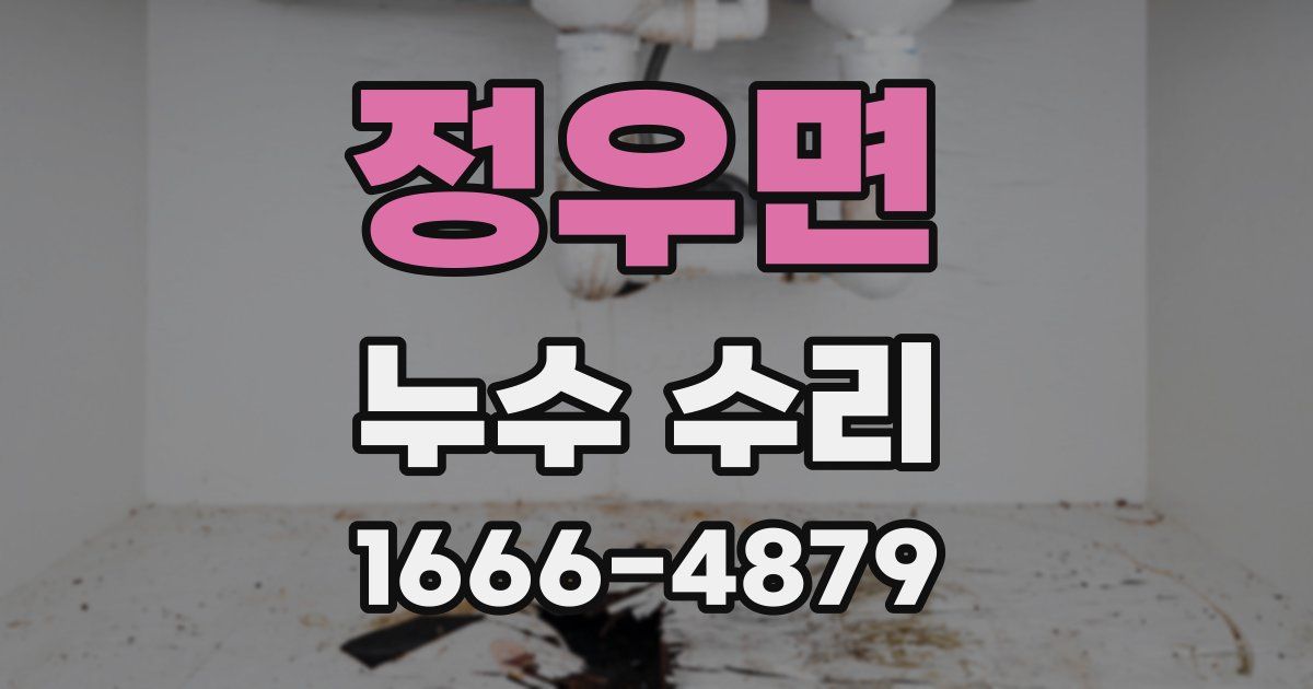 정우면 누수 수리