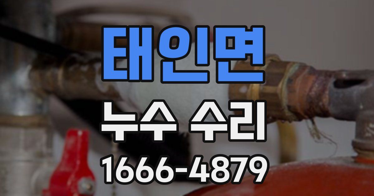 태인면 누수 수리