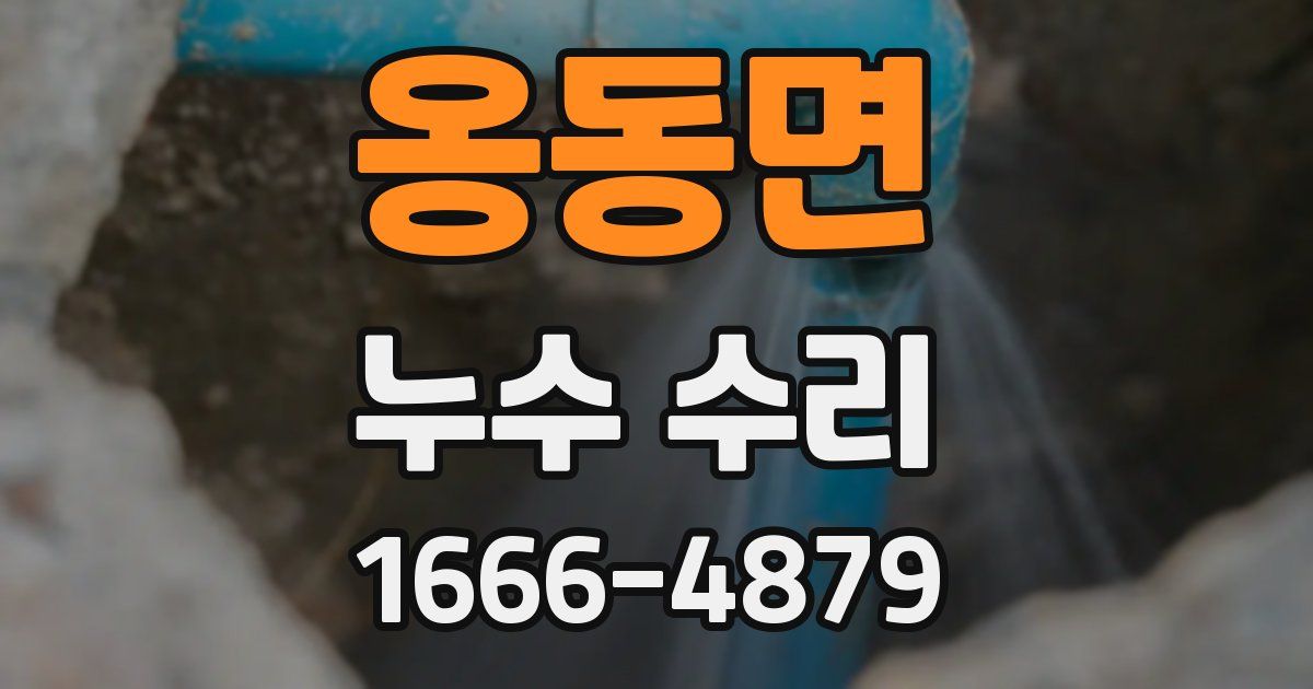 옹동면 누수 수리