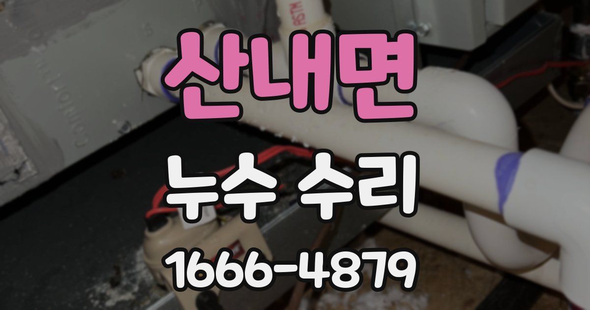 산내면 누수 수리