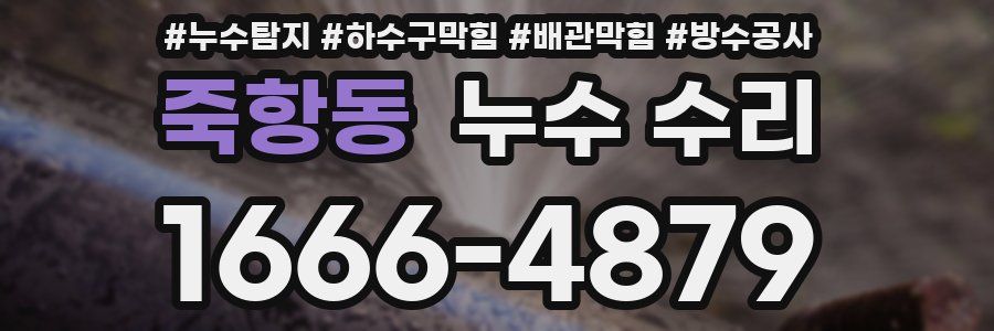 죽항동 누수 수리