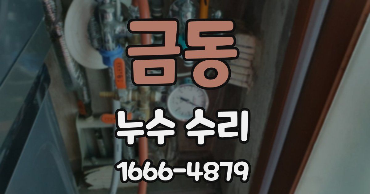 금동 누수 수리