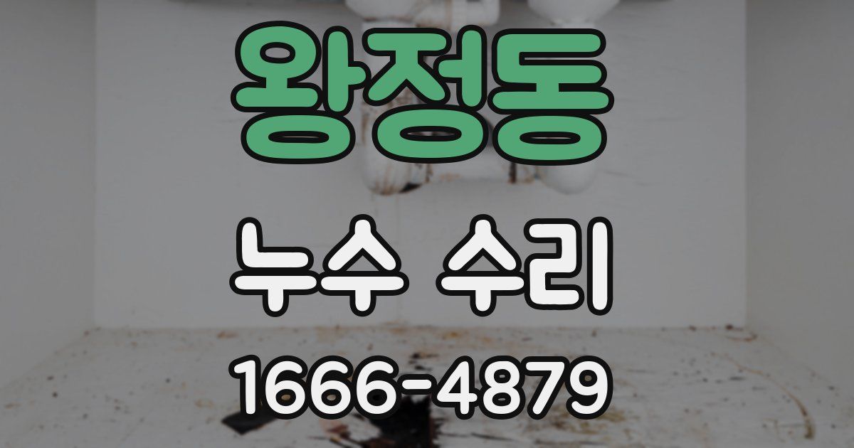 왕정동 누수 수리