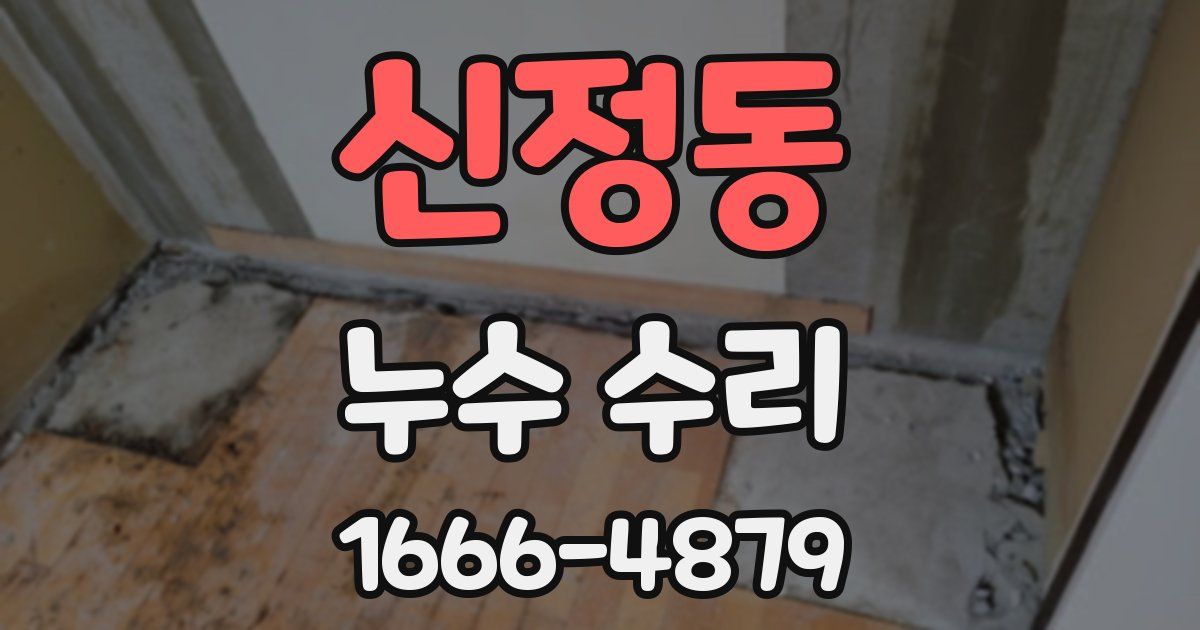 신정동 누수 수리