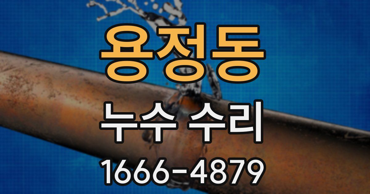 용정동 누수 수리