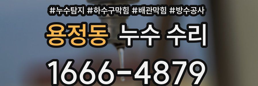 용정동 누수 수리