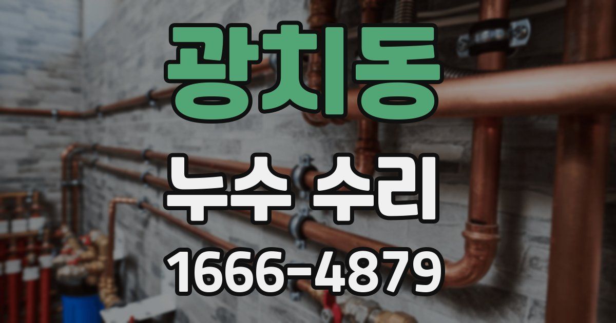 광치동 누수 수리