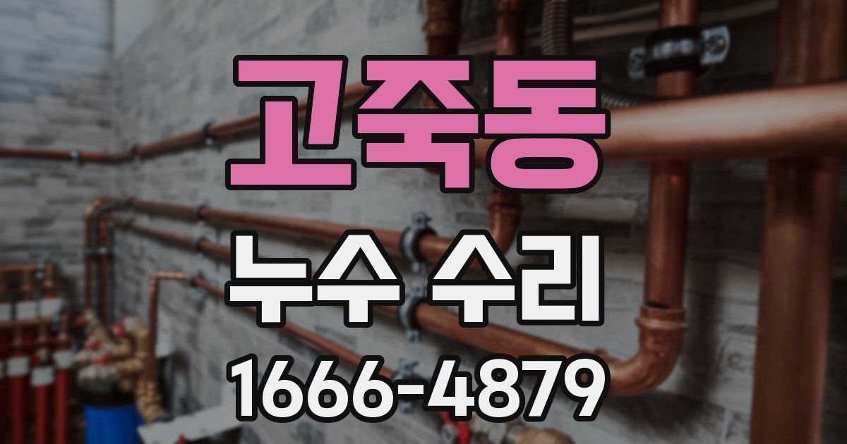 고죽동 누수 수리