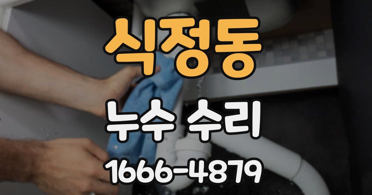 식정동 누수 수리
