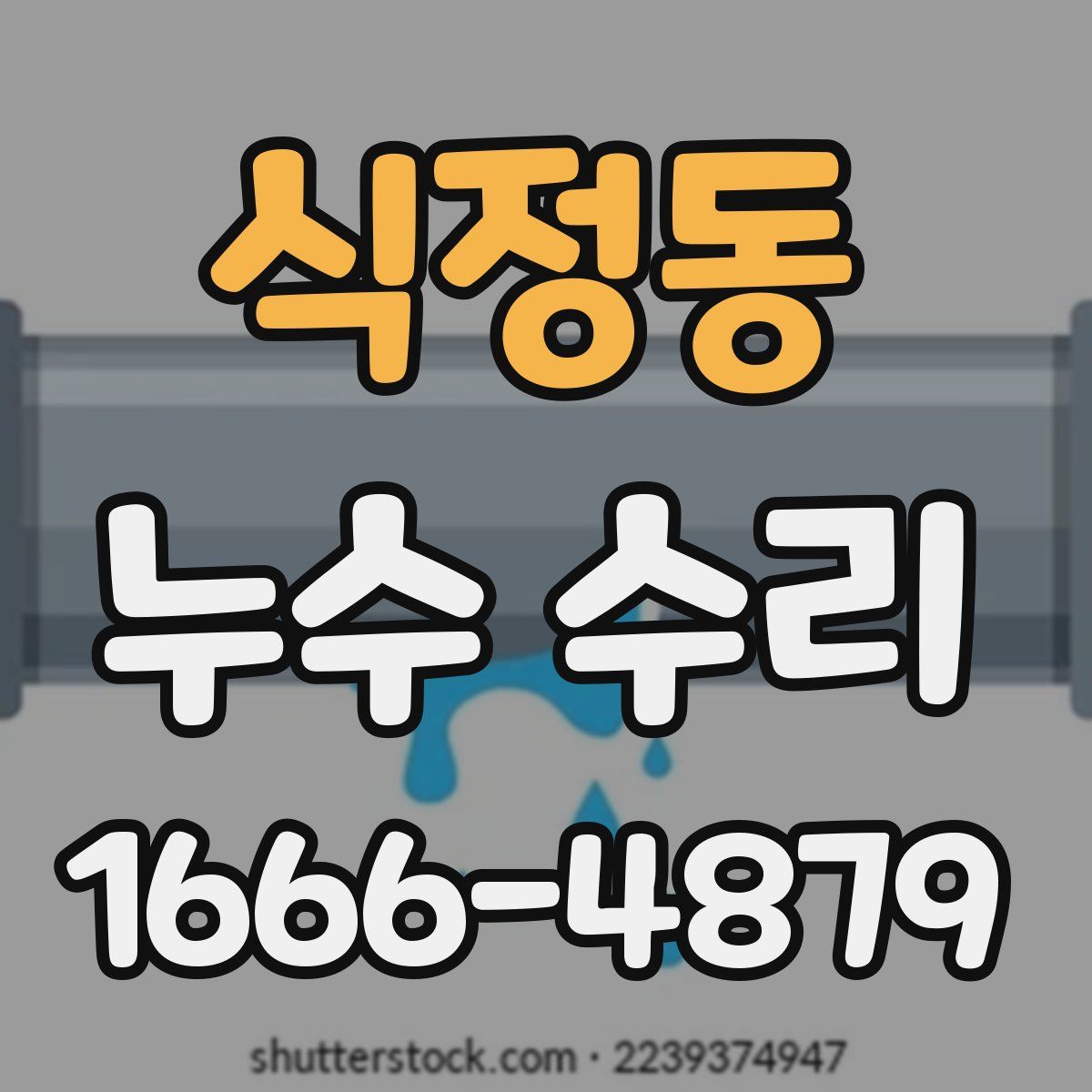 식정동 누수 수리