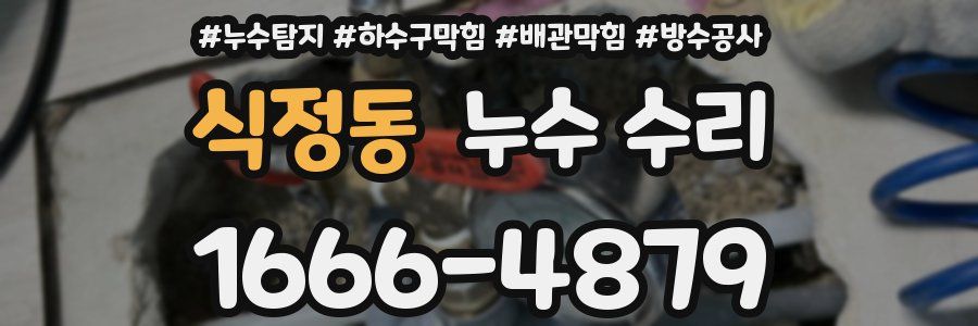 식정동 누수 수리