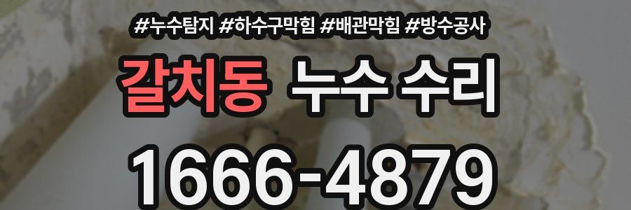 갈치동 누수 수리