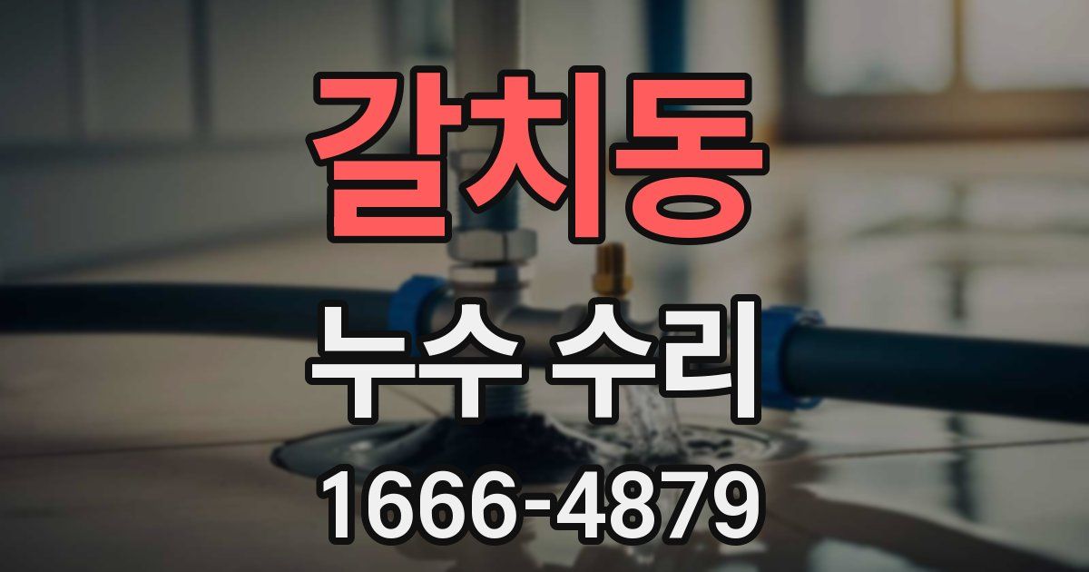 갈치동 누수 수리