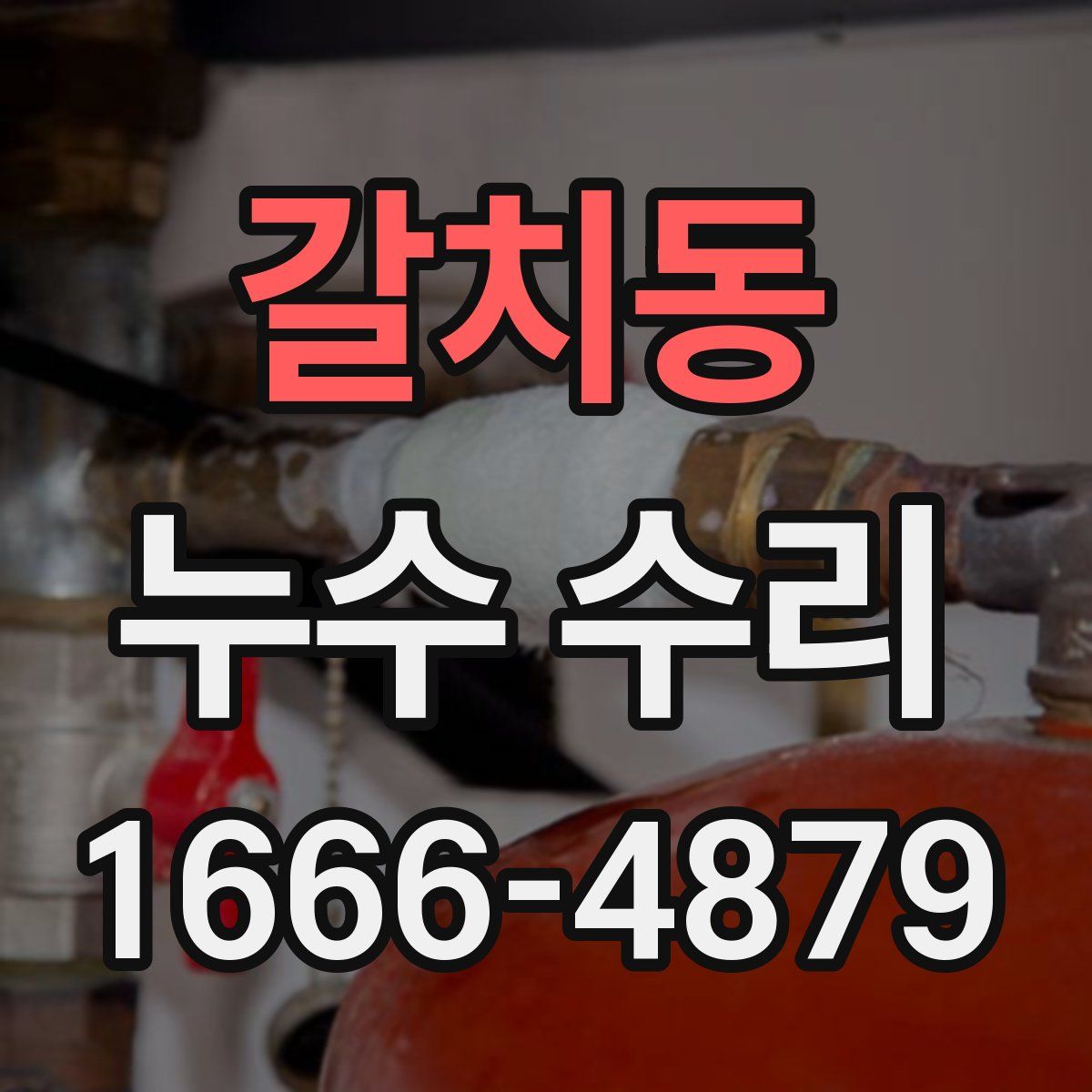 갈치동 누수 수리