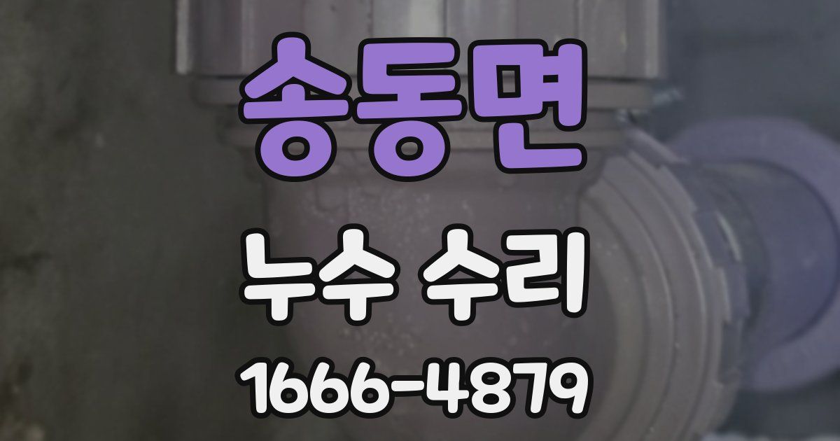 송동면 누수 수리