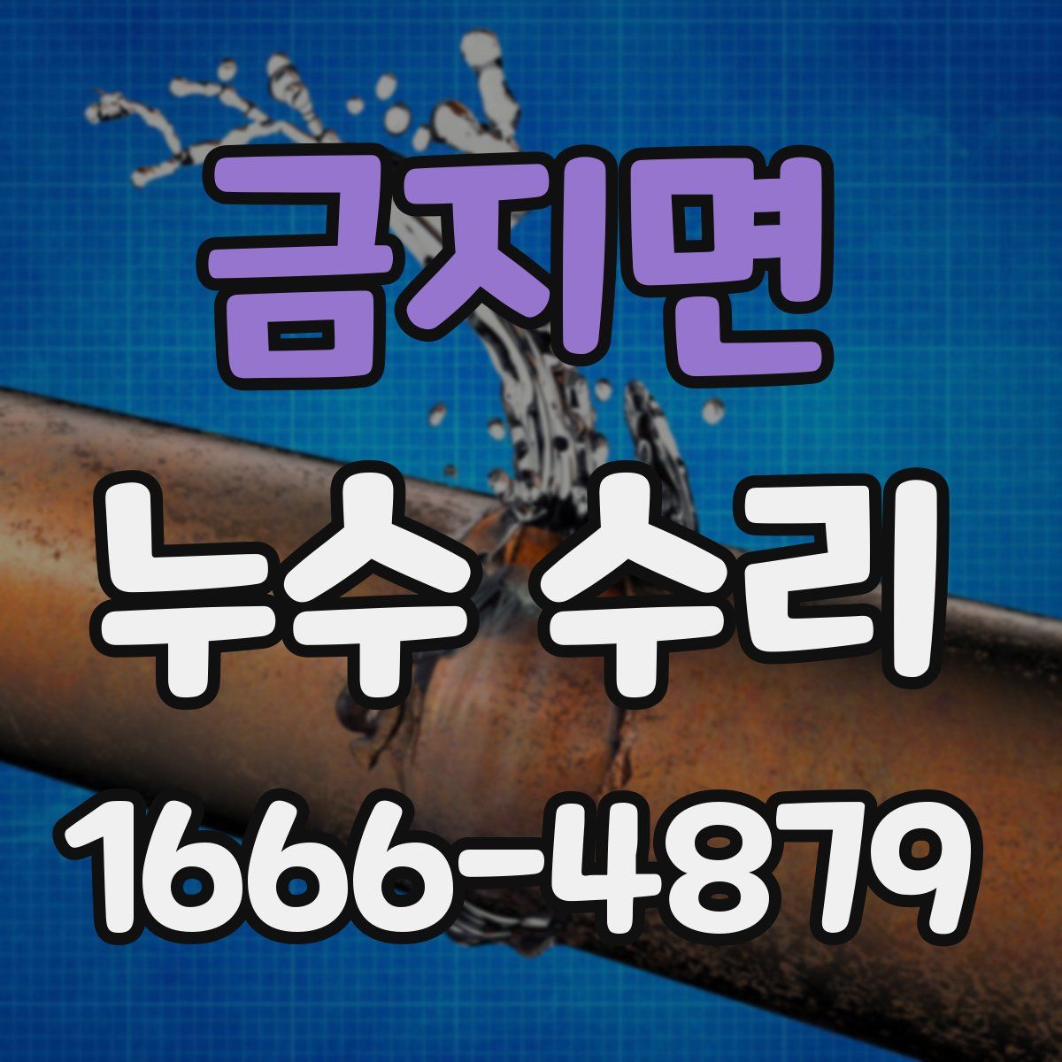 금지면 누수 수리