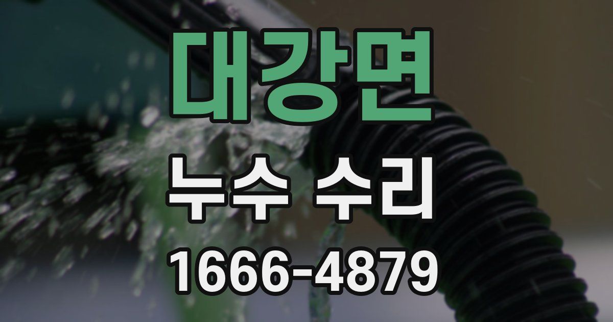 대강면 누수 수리