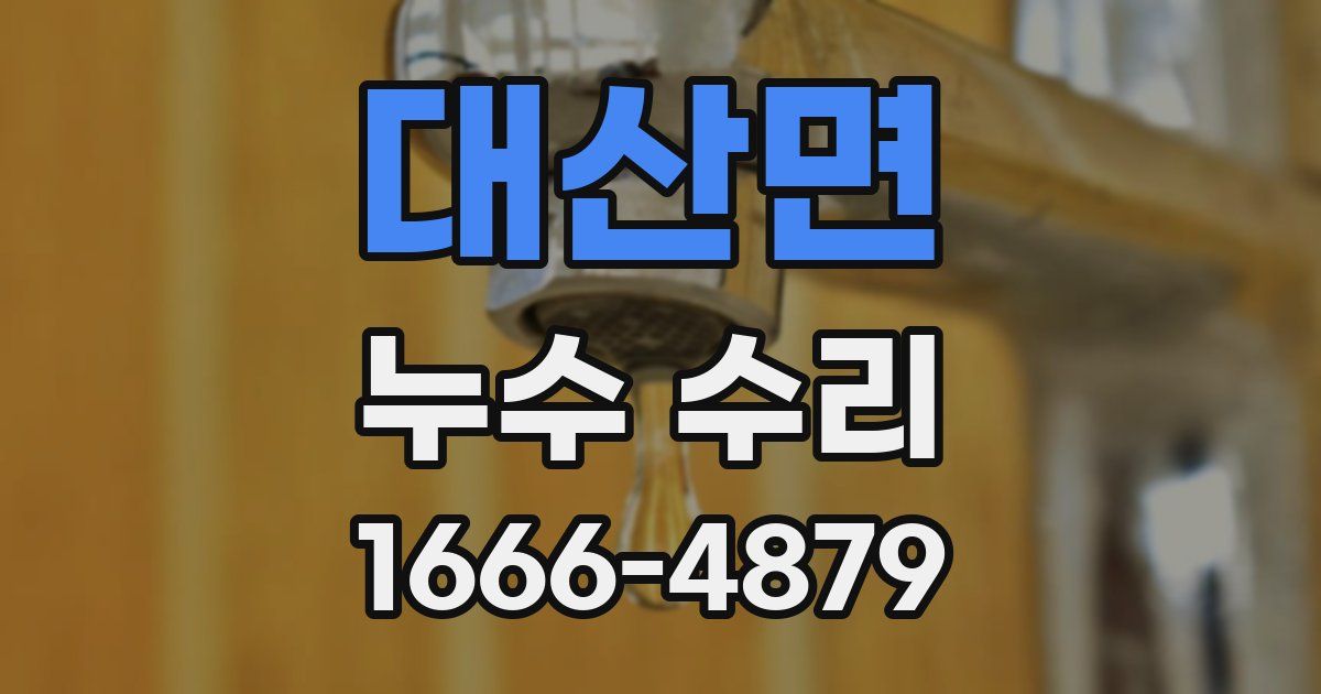 대산면 누수 수리