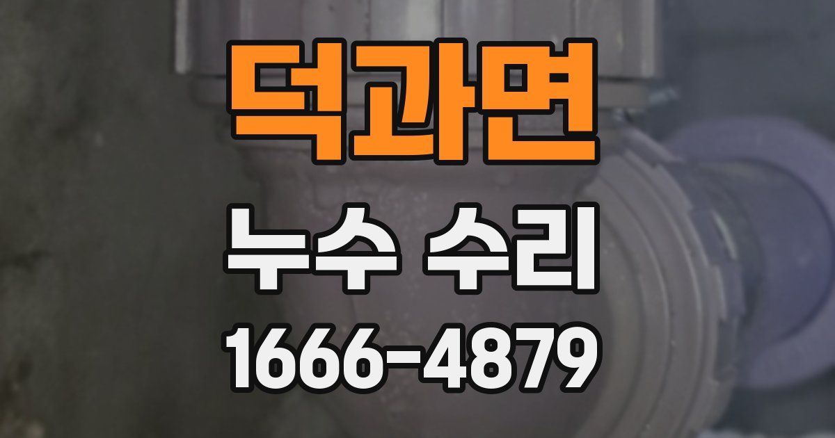 덕과면 누수 수리