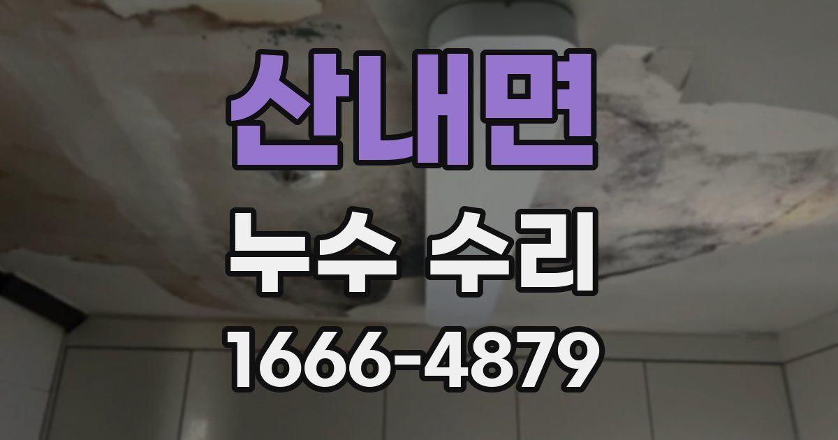 산내면 누수 수리