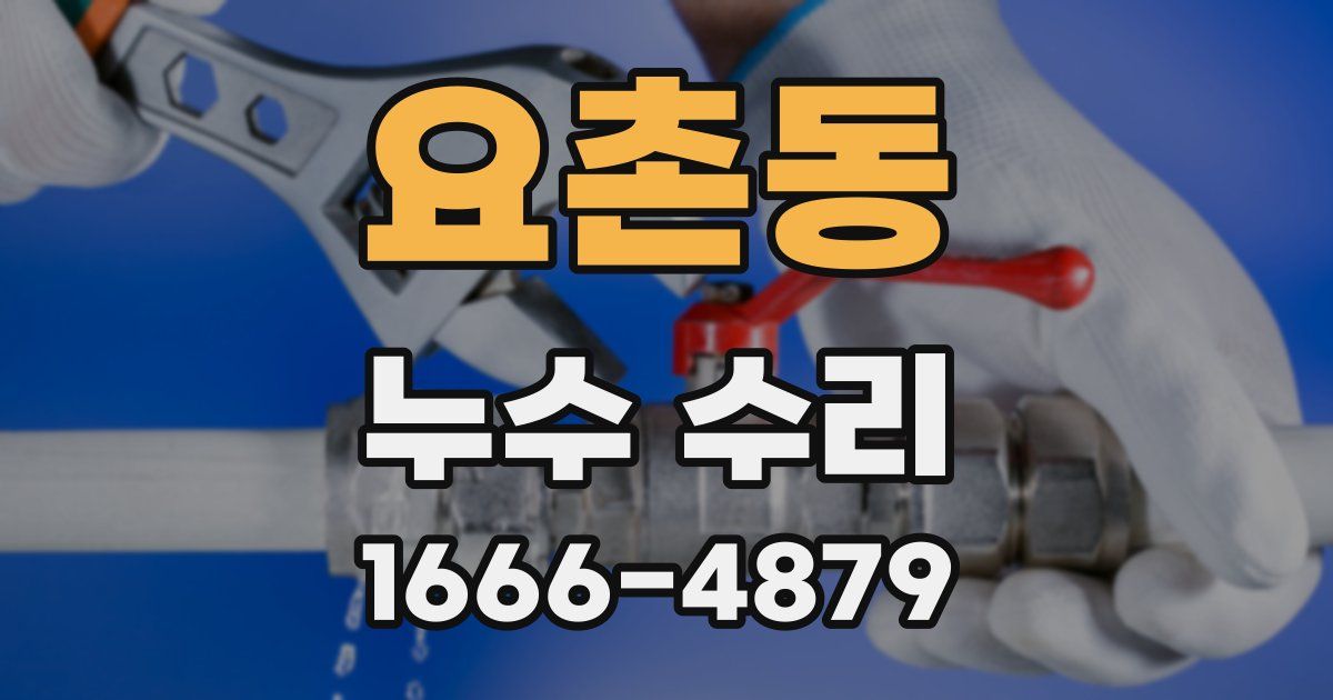 요촌동 누수 수리