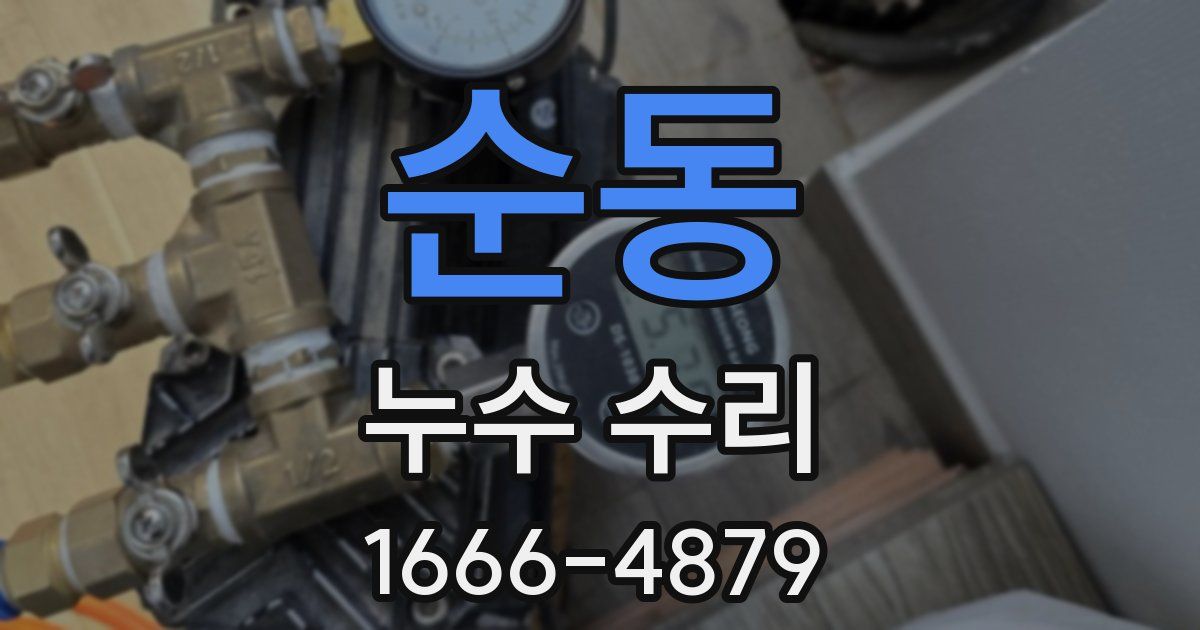 순동 누수 수리