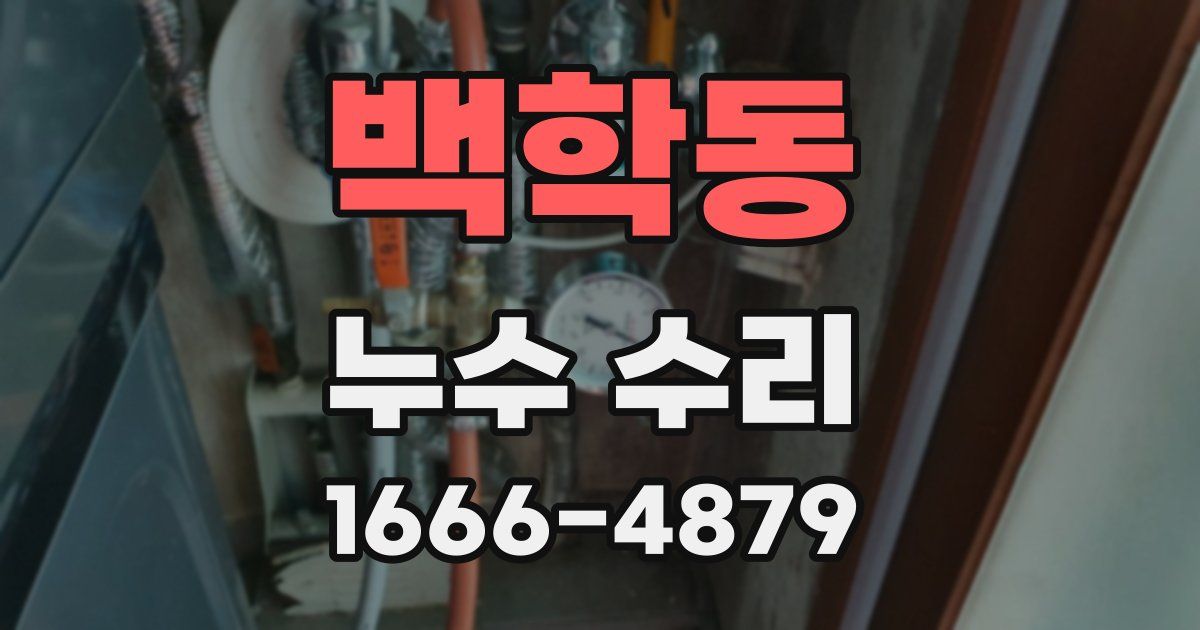 백학동 누수 수리