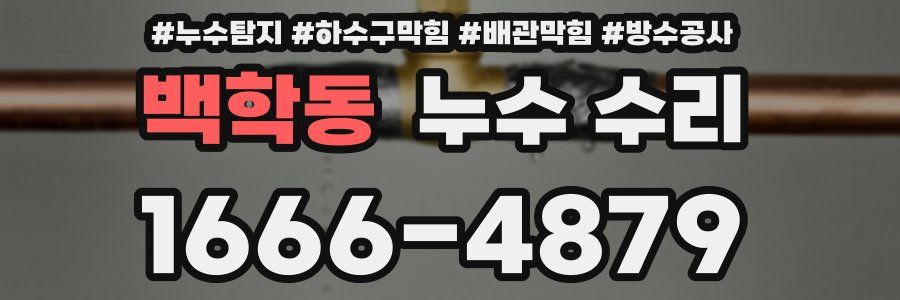 백학동 누수 수리