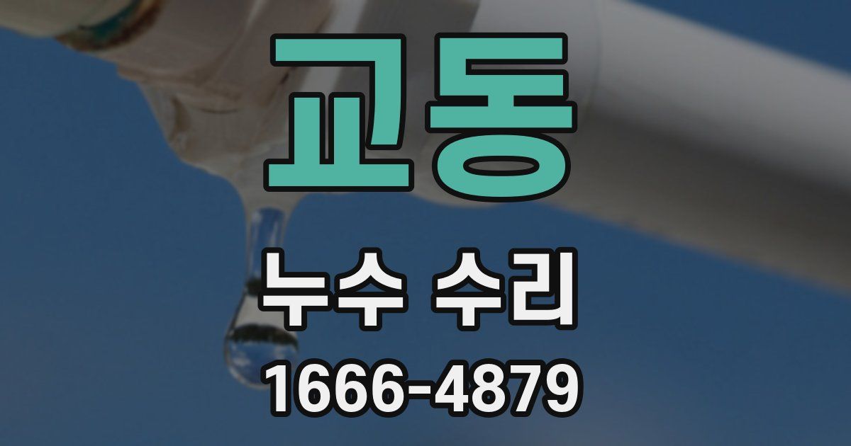 교동 누수 수리