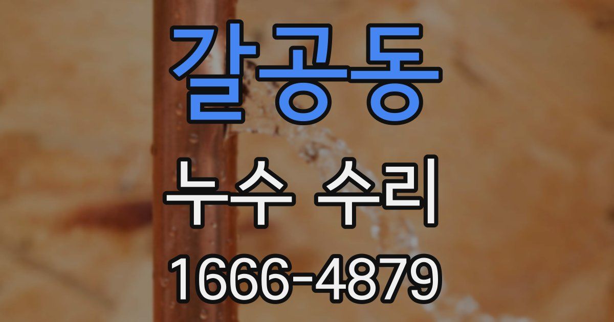 갈공동 누수 수리