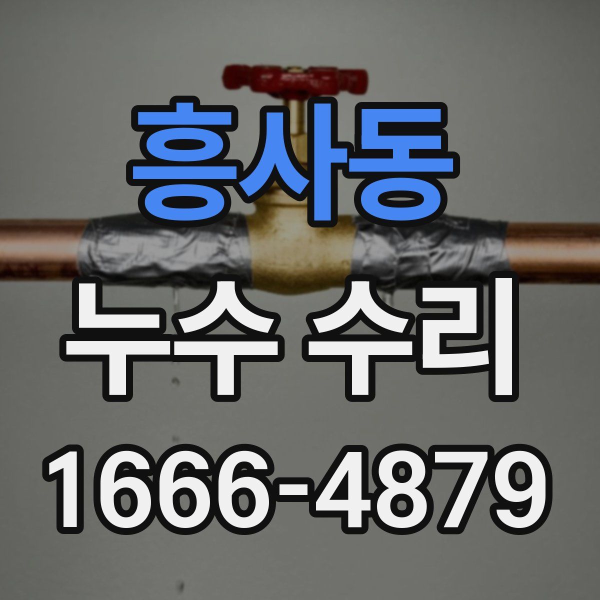 흥사동 누수 수리