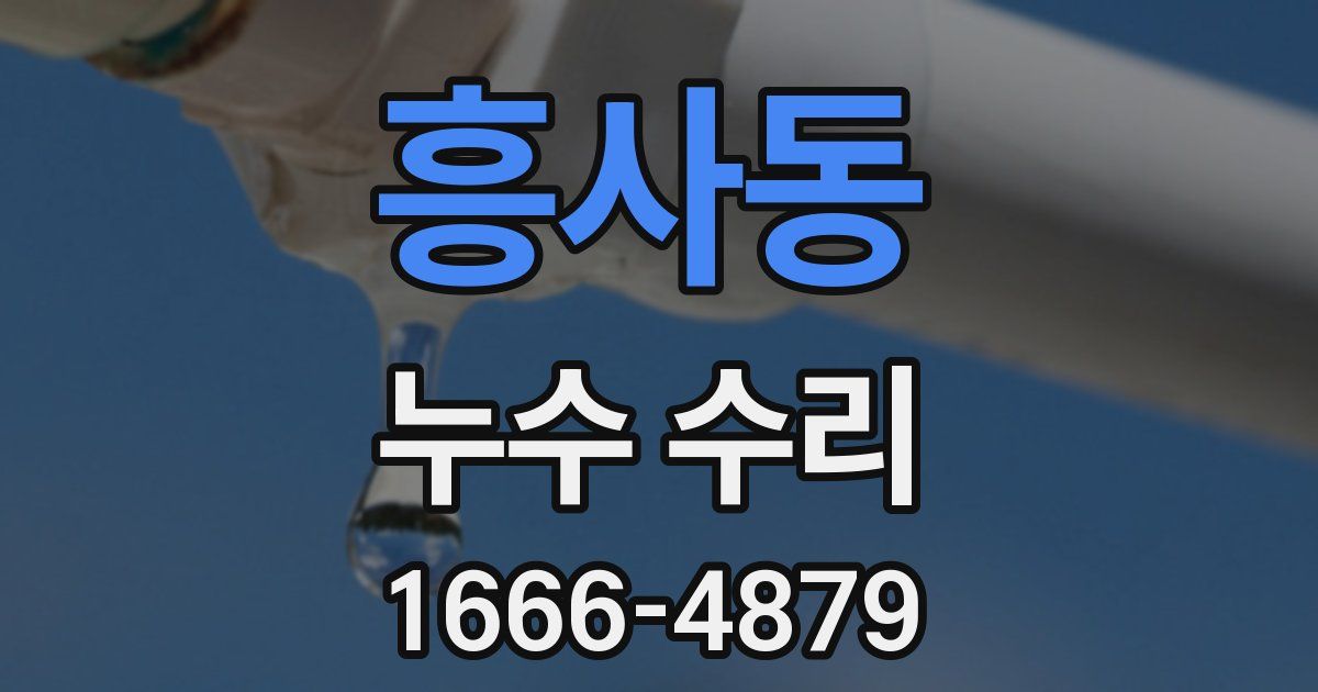 흥사동 누수 수리