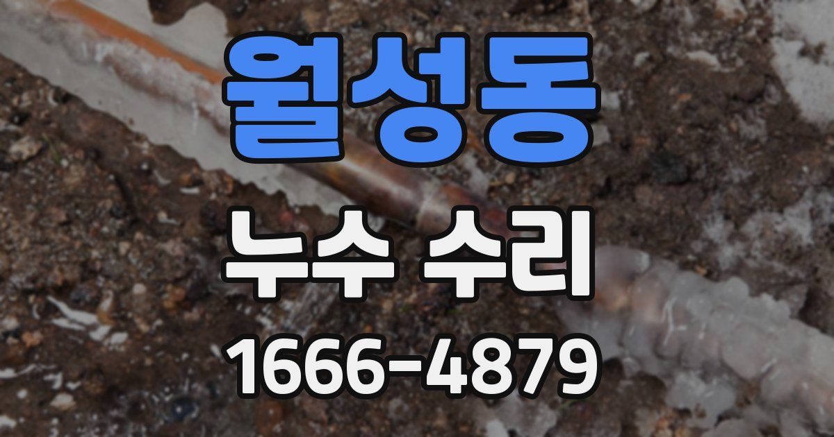 월성동 누수 수리