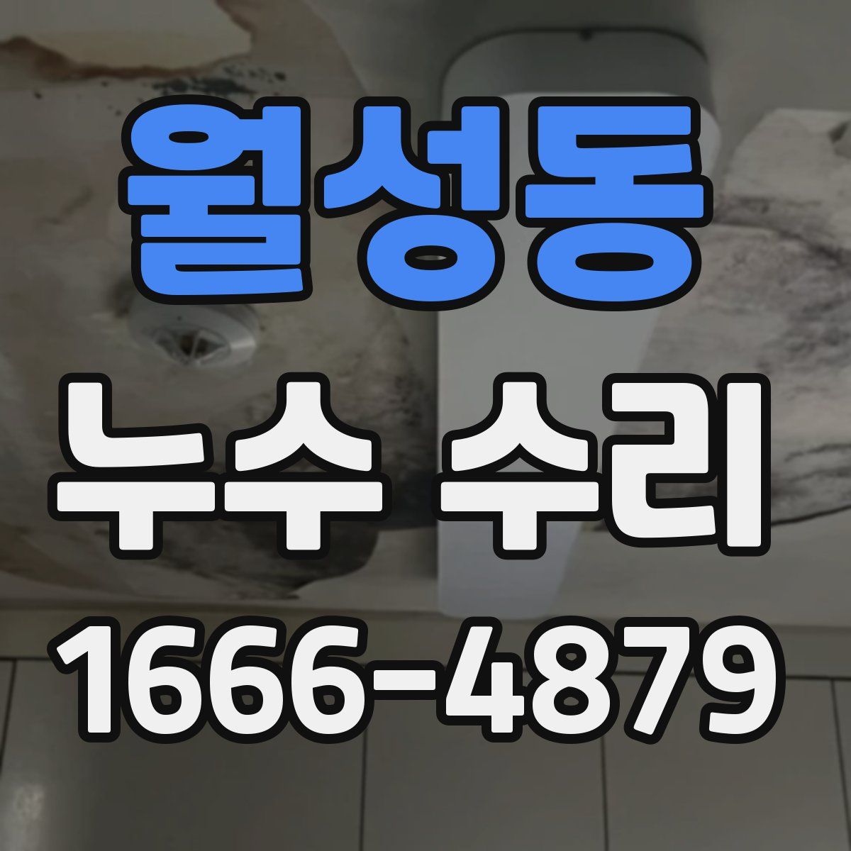 월성동 누수 수리