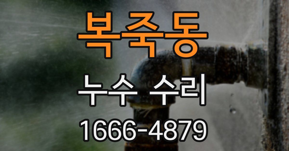 복죽동 누수 수리
