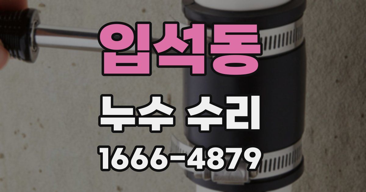 입석동 누수 수리