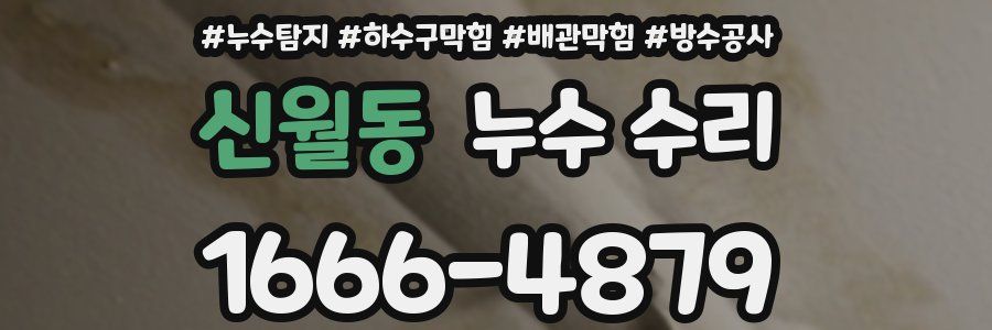 신월동 누수 수리
