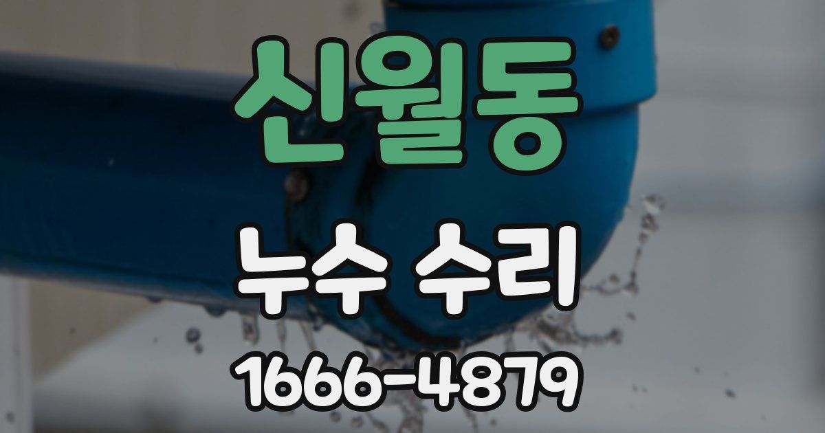 신월동 누수 수리