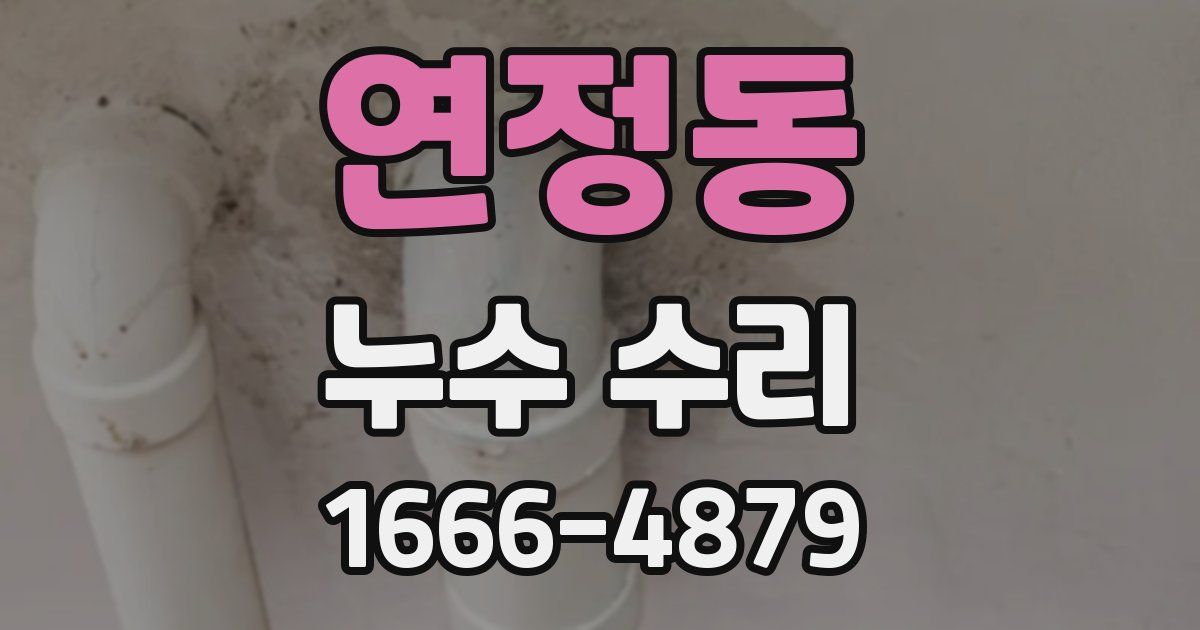 연정동 누수 수리