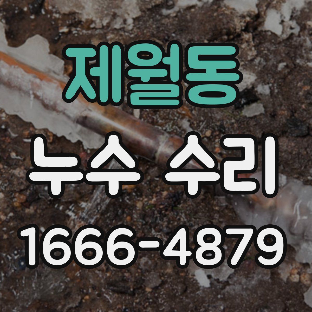 제월동 누수 수리