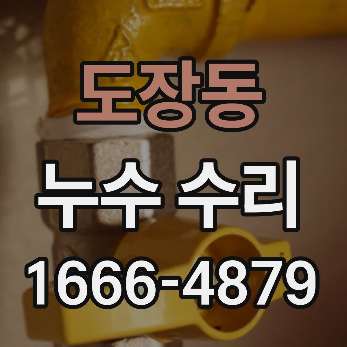 도장동 누수 수리