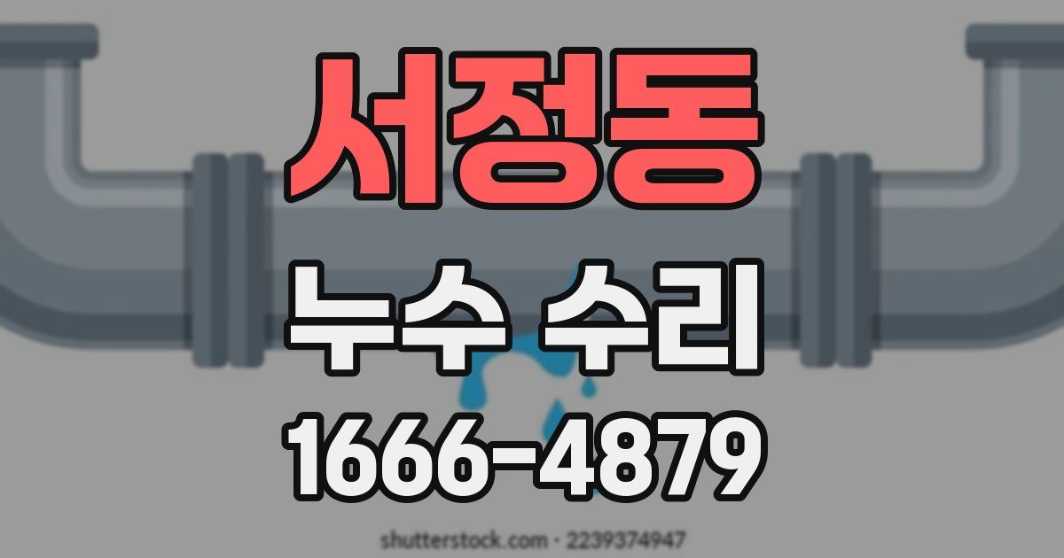 서정동 누수 수리