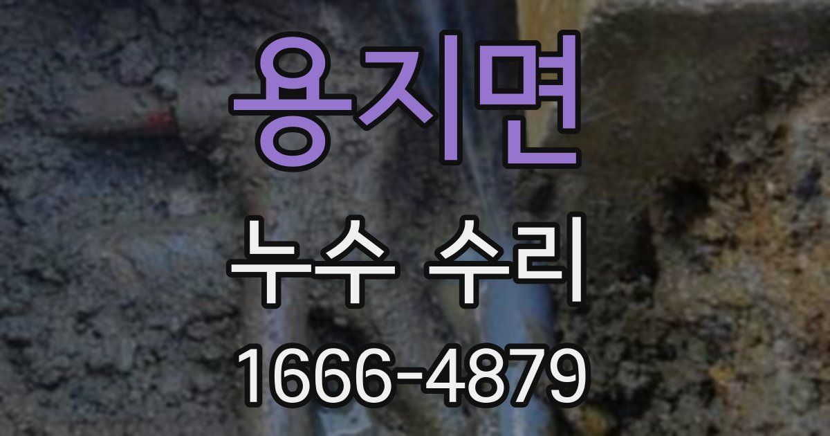 용지면 누수 수리
